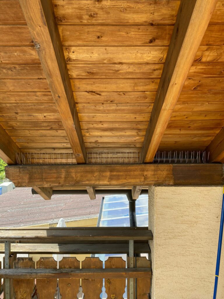 AVEX Taubenabwehr – Einsatz von Spikes