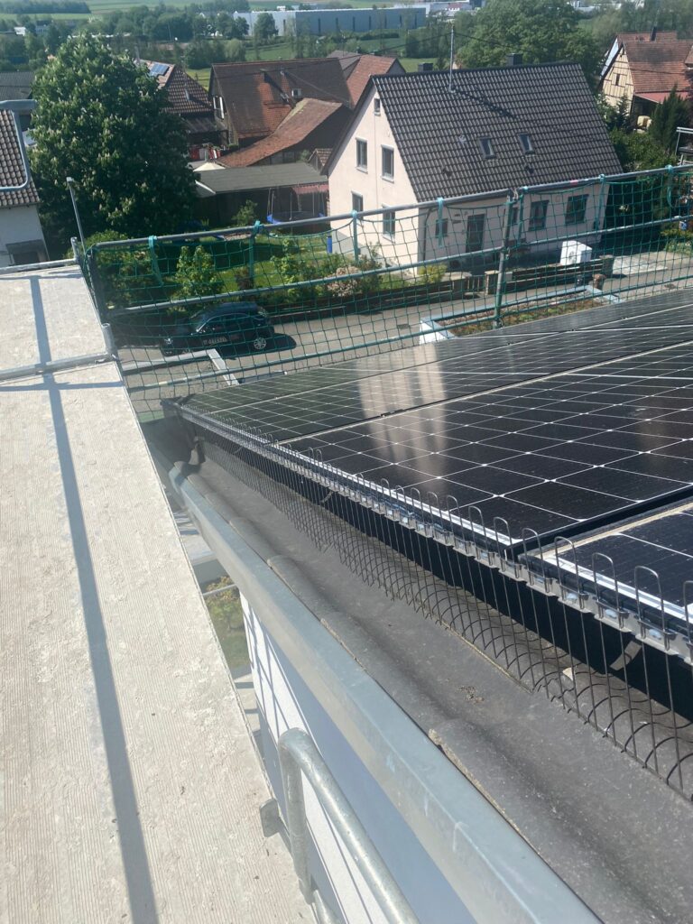 AVEX Taubenabwehr – Einsatz von Spikes