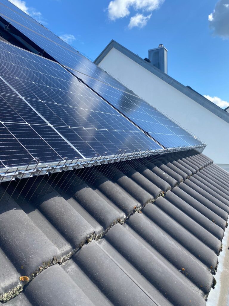 AVEX Taubenabwehr – Einsatz von Spikes