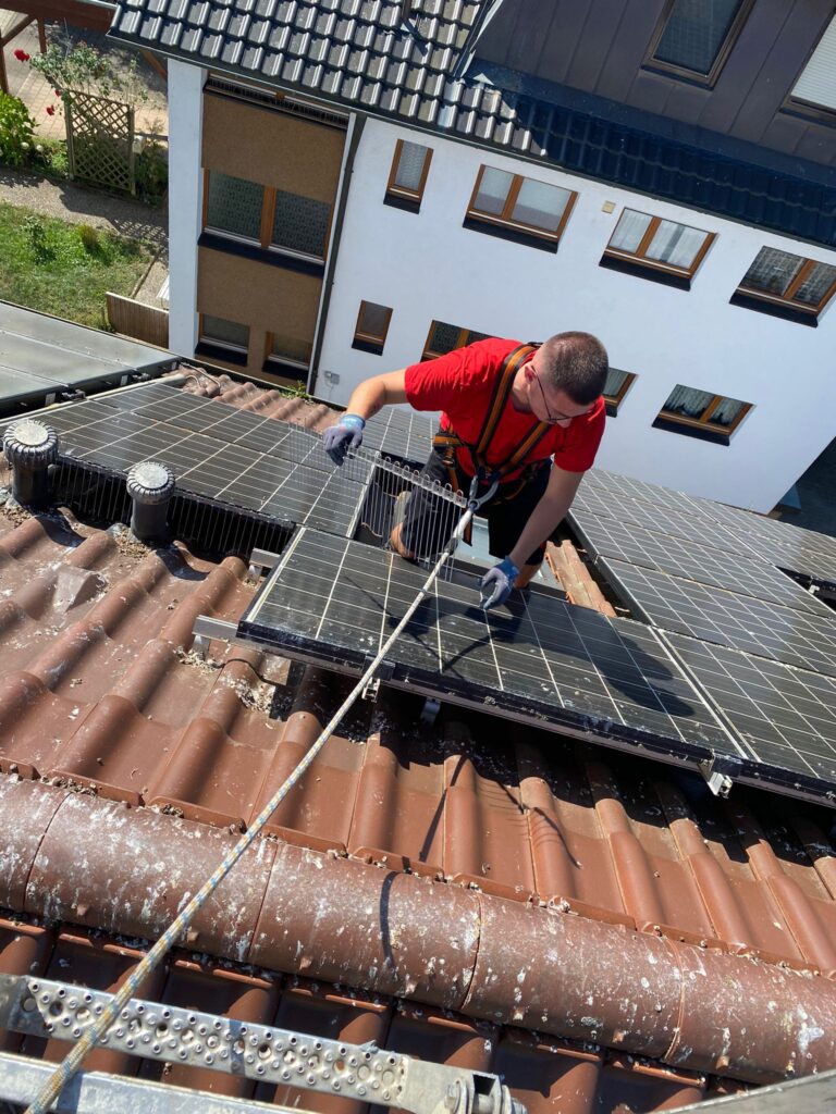 AVEX Taubenabwehr – Einsatz von Spikes