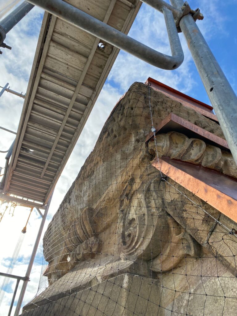 AVEX Taubenabwehr – Einsatz von Tex