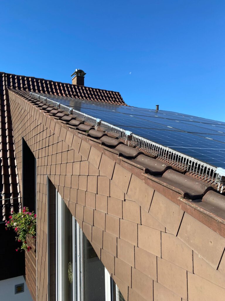 AVEX Taubenabwehr – Einsatz von Spikes