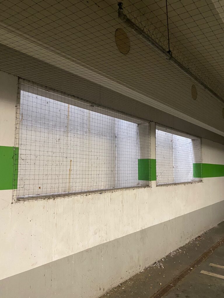 AVEX Taubenabwehr – Einsatz von Tex