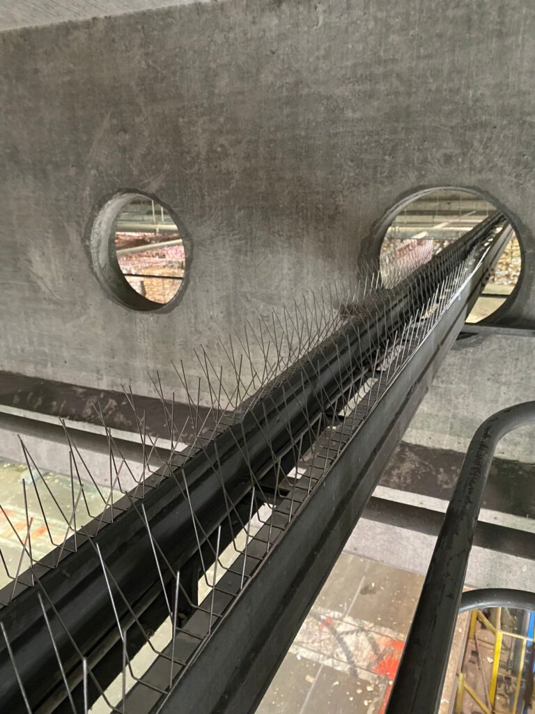 AVEX Taubenabwehr – Einsatz von Spikes