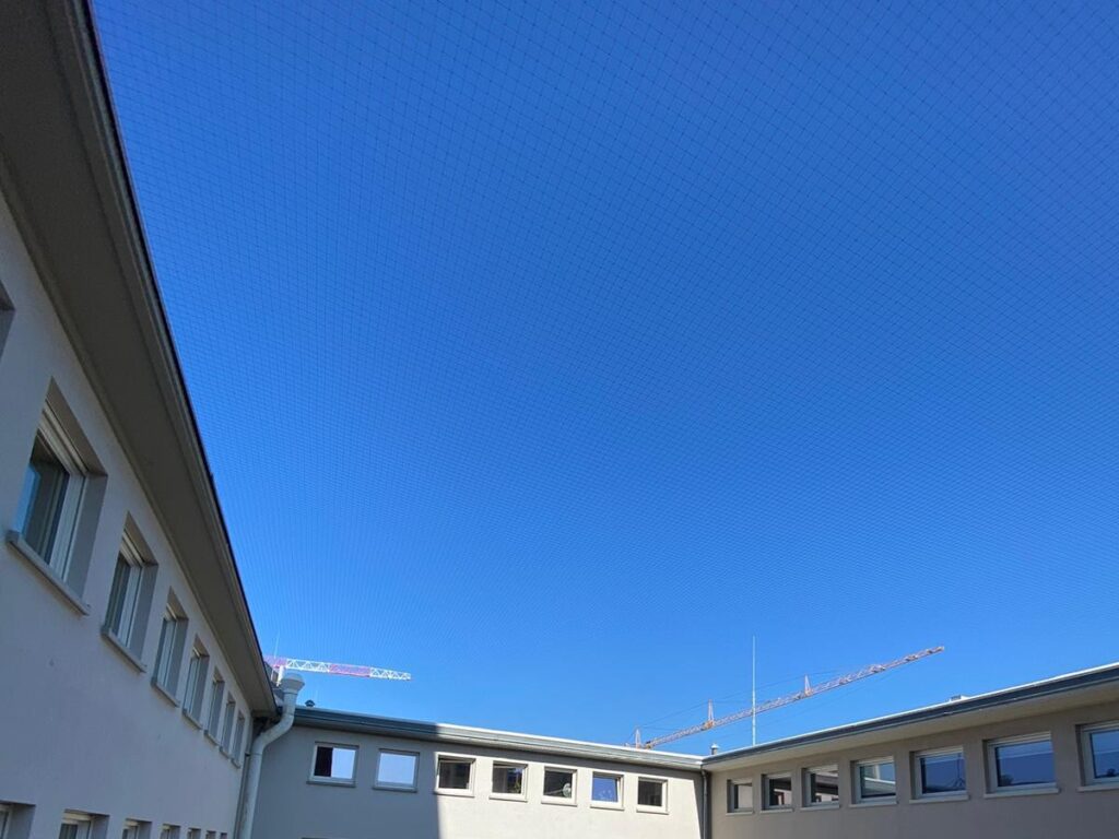 AVEX Taubenabwehr – Einsatz von Tex