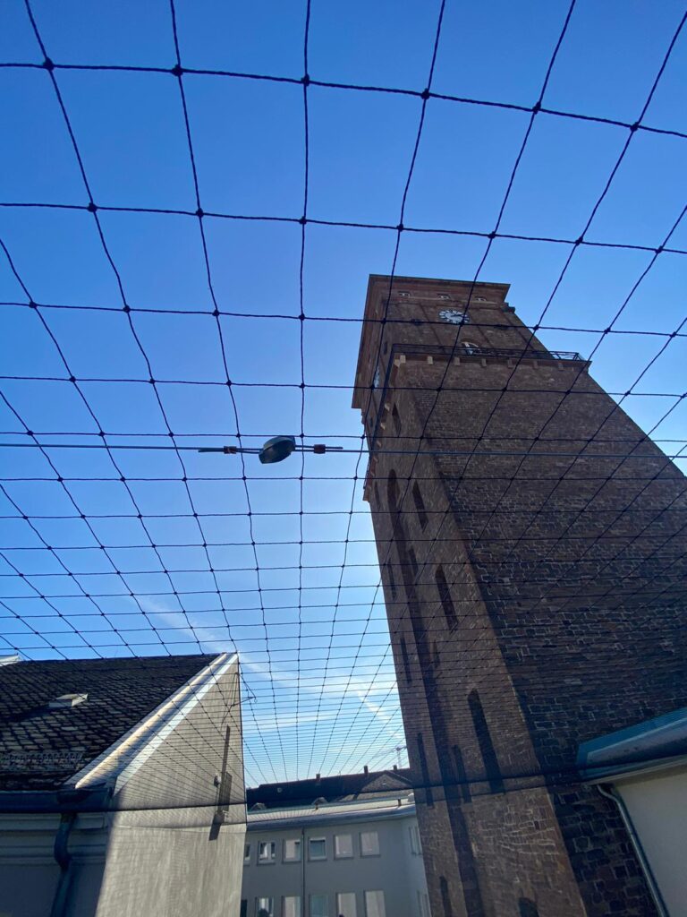 AVEX Taubenabwehr – Einsatz von Tex