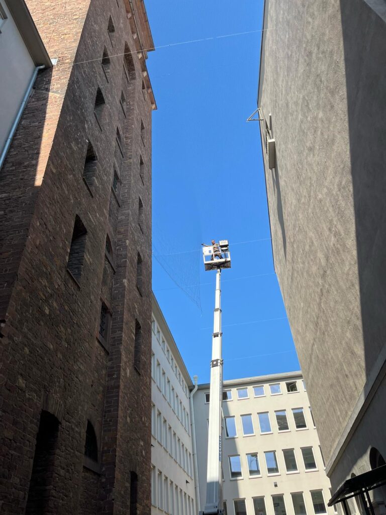 AVEX Taubenabwehr – Einsatz von Tex