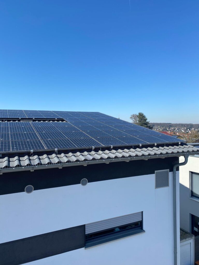 AVEX Taubenabwehr – Einsatz von Spikes