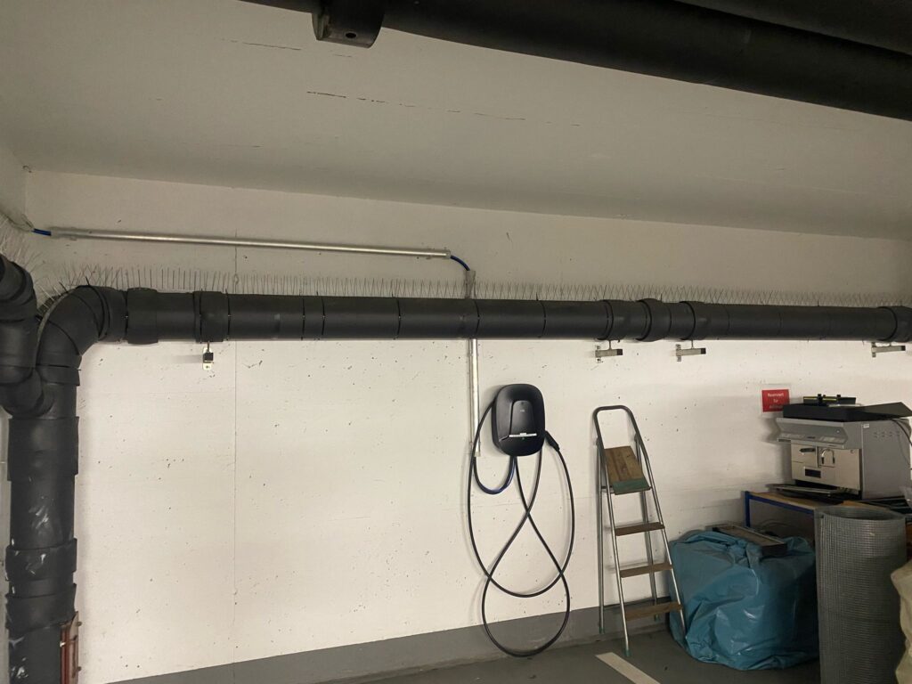 AVEX Taubenabwehr – Einsatz von Spikes