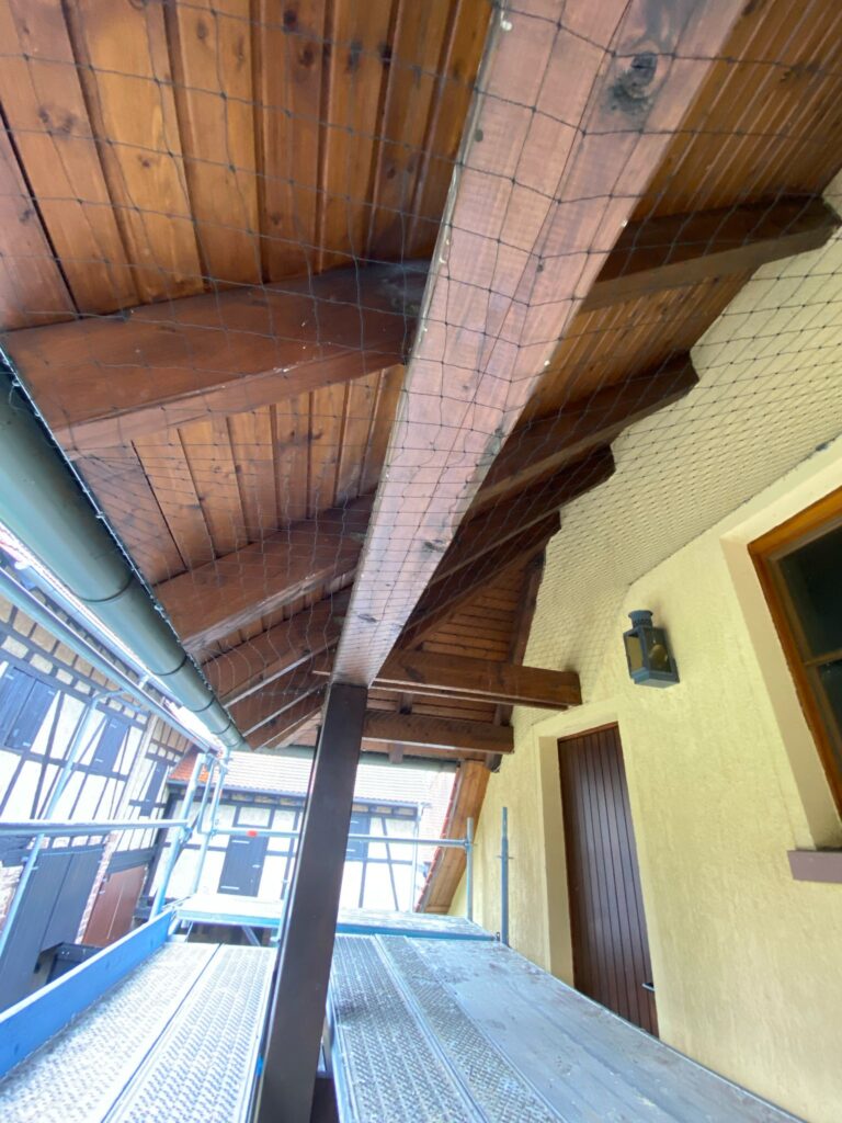 AVEX Taubenabwehr – Einsatz von Tex